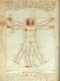 Vitruvian Man da Vinci